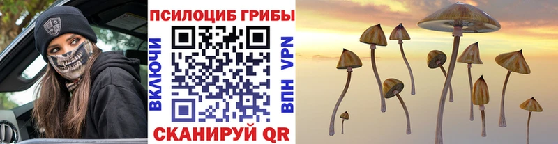 Галлюциногенные грибы прущие грибы  ссылка на мегу ONION  Чегем 